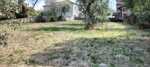 5 bedrooms Villa in Vouzela, Portugal No. 19042 6