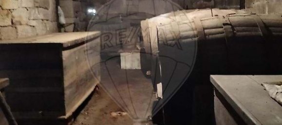 5 bedrooms Villa in Vouzela, Portugal No. 19042 12