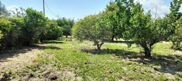 5 bedrooms Villa in Vouzela, Portugal No. 19042 8