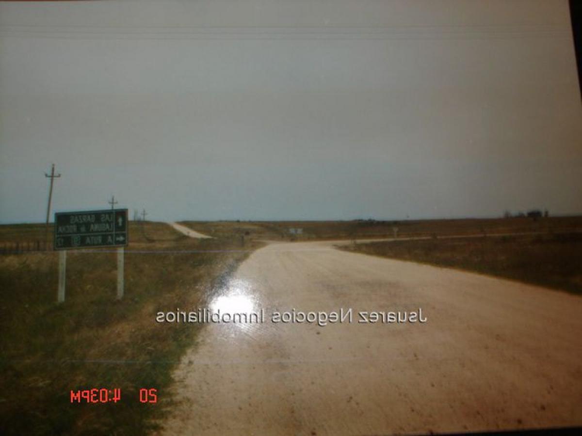  Land in Rocha, Uruguay No. 14666