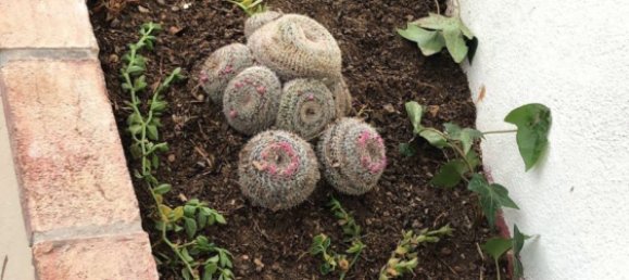 Villa de 4 dormitorios en Coín, Spain No. 138513 27