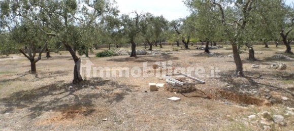 6 chambres Maison à Patù, Italy No. 331811 32