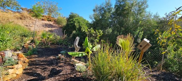 3 Schlafzimmer Villa in Loule, Portugal, Nr. 133491 16