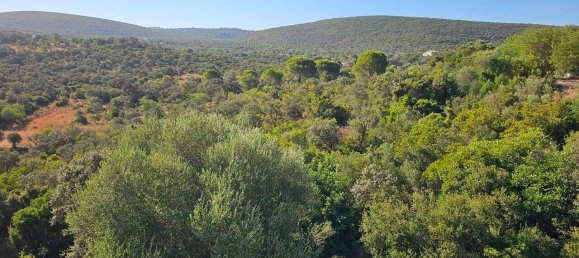 3 Schlafzimmer Villa in Loule, Portugal, Nr. 133491 30