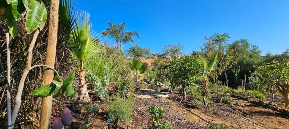 3 Schlafzimmer Villa in Loule, Portugal, Nr. 133491 13