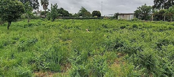Casa de 4 dormitorios en Castelo da Maia, Portugal No. 190019 21