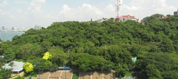 1 chambre Condo à Pattaya, Thailand No. 980 21