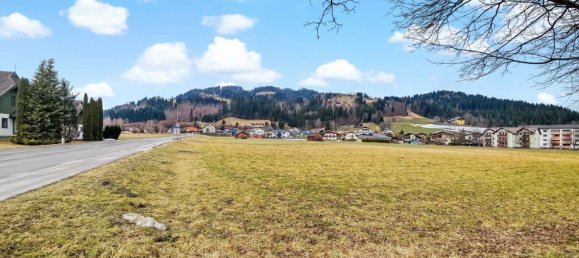 Земельный участок 10779м² в Кёчах-Маутен, Австрия № 129717 11