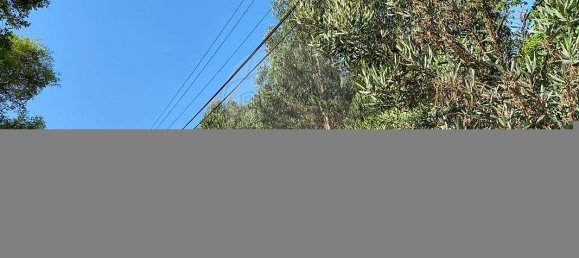 9900m² Land in Vila Nova de Gaia, Portugal No. 42898 3