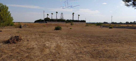 Вилла с 3 комнатами в Маруджо, Италия № 25809 28