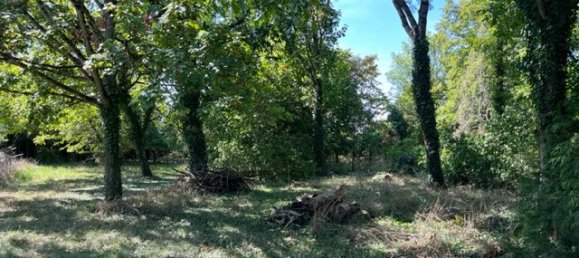 Grundstück in Saint-Hilaire-Saint-Mesmin, France, Nr. 86229 3