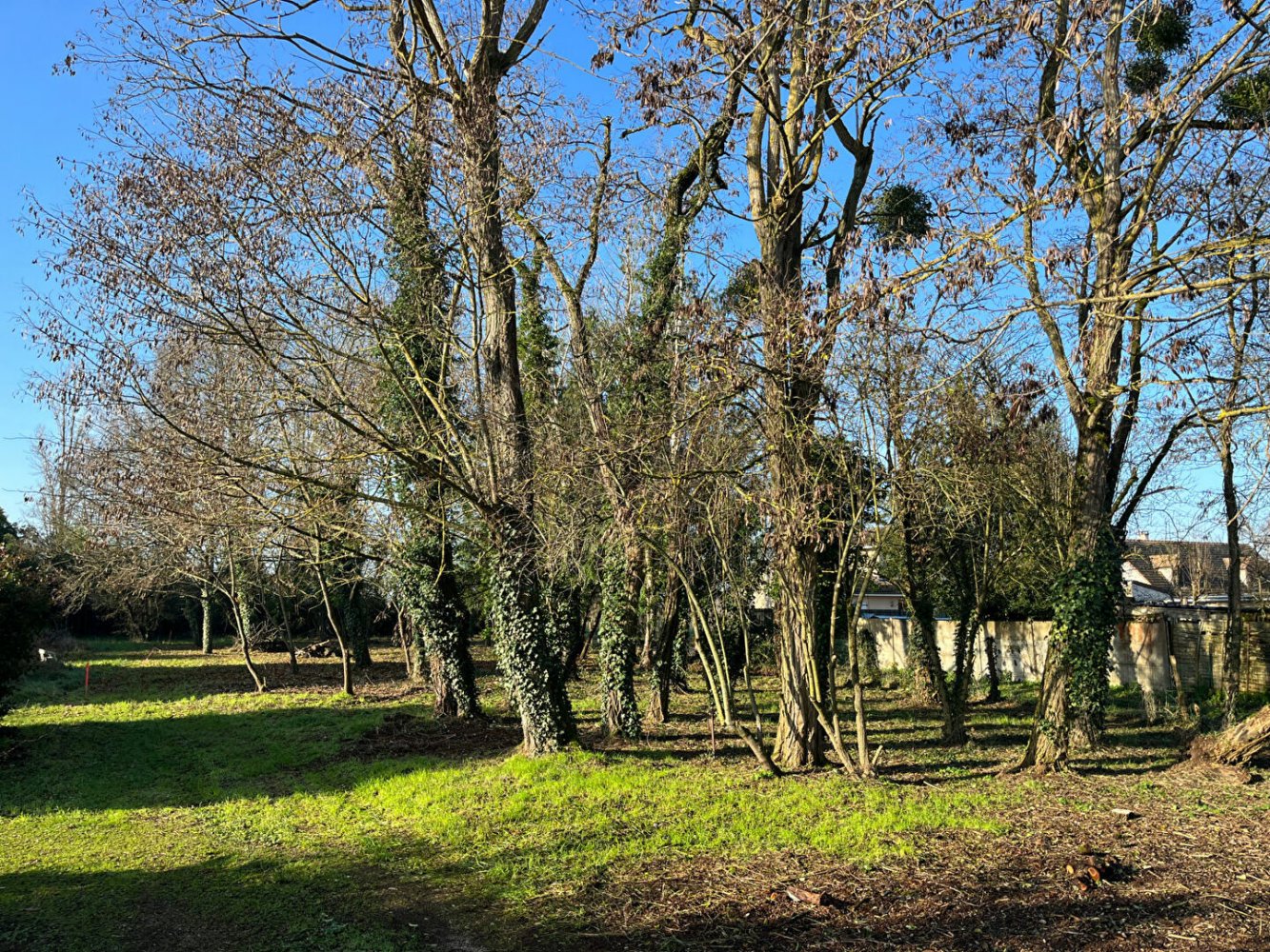 Grundstück in Saint-Hilaire-Saint-Mesmin, France, Nr. 86229