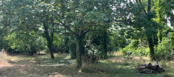 Grundstück in Saint-Hilaire-Saint-Mesmin, France, Nr. 86229 4