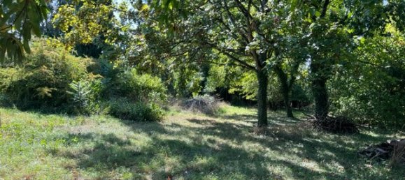 Grundstück in Saint-Hilaire-Saint-Mesmin, France, Nr. 86229 2