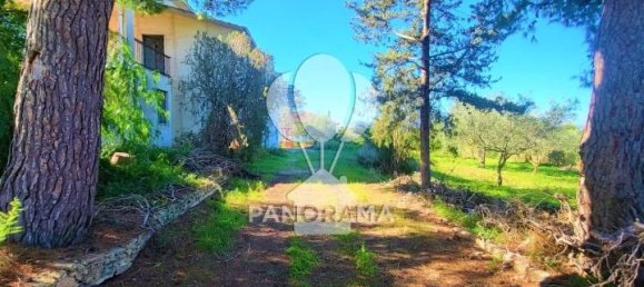 12-salle Appartement à Partinico, Italy No. 154938 18