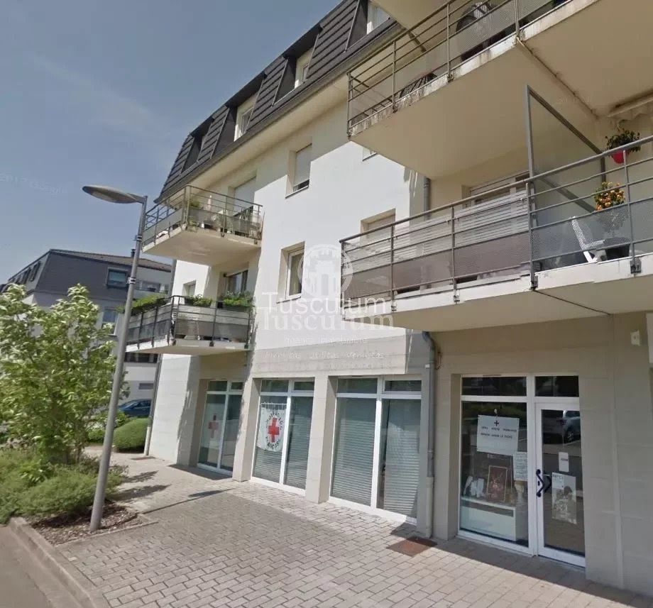 153m² Commercial property in Audun-le-Tiche, France No. 228739