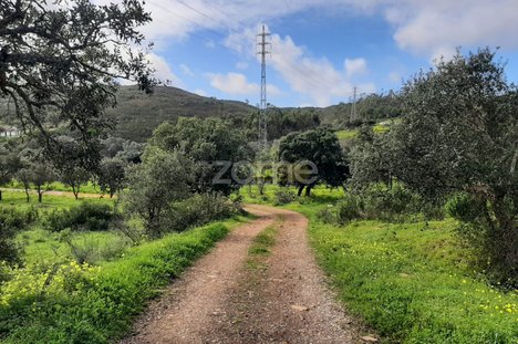 Terreno en Mexilhoeira Grande, Portugal 177500 m² No. 153639