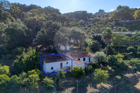 3 Schlafzimmer Haus in Monchique, Portugal, Nr. 351413