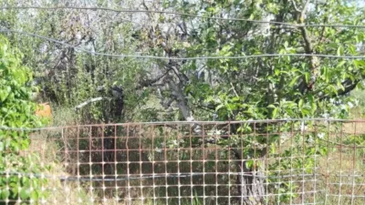 Terreno em Zamora, Spain 34237 m² N.º 270712