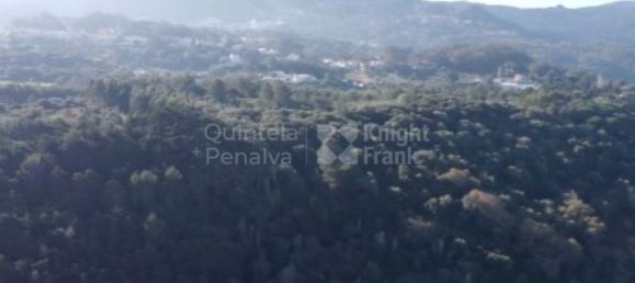 1106m² Land in Sintra, Portugal No. 122470 10