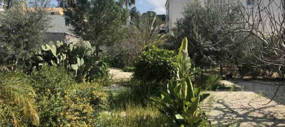 3 Schlafzimmer Haus in Nicosia, Cyprus, Nr. 14781 3