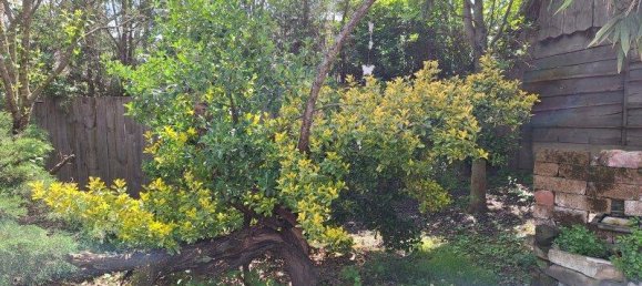 3 rooms House in Deutsch Schutzen-Eisenberg, Austria No. 136633 6