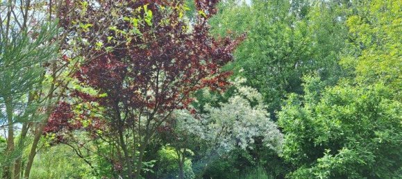 3 rooms House in Deutsch Schutzen-Eisenberg, Austria No. 136633 20