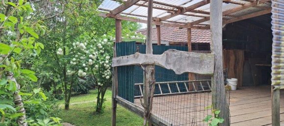 3 rooms House in Deutsch Schutzen-Eisenberg, Austria No. 136633 9