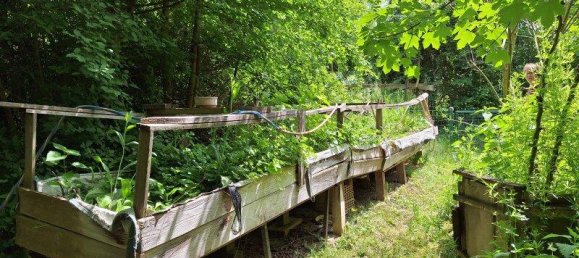 3 rooms House in Deutsch Schutzen-Eisenberg, Austria No. 136633 11