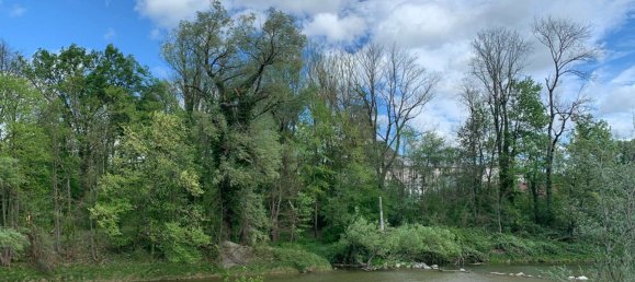 Studio in Rosenheim, Germany No. 50853 8