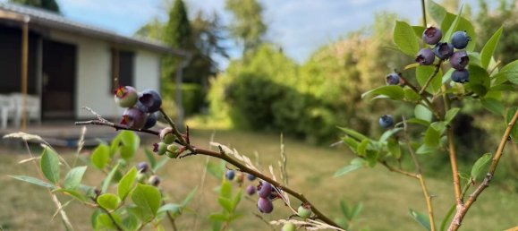 Grundstück in Oberhavel, Germany, Nr. 226662 6