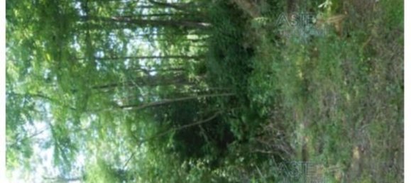 3 bedrooms House in Ripi, Italy No. 341621 44