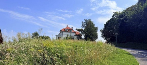 Land in Wiesen, Austria No. 256274 3