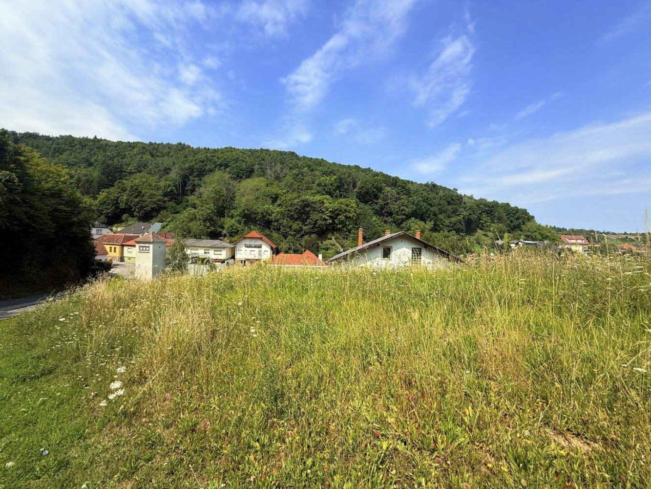  Land in Wiesen, Austria No. 256274