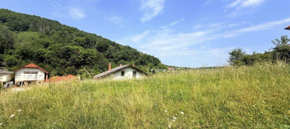 Land in Wiesen, Austria No. 256274 2