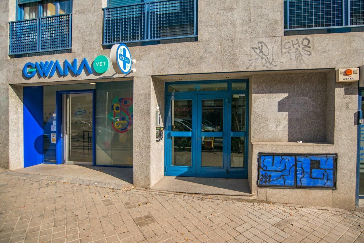 Коммерческая недвижимость 117м² в Мадрид, Испания № 113514