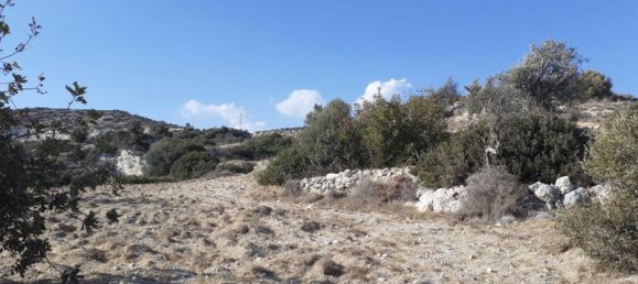 فندق في Agios Tychonas, Cyprus 3595متر مربع رقم 9526 3