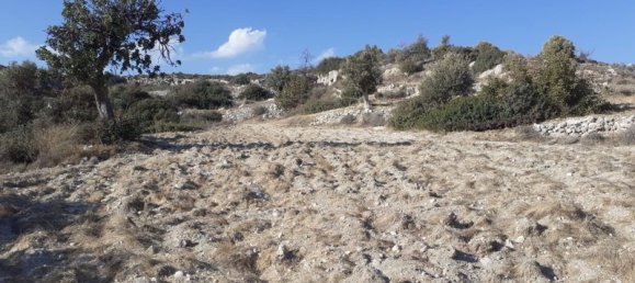 فندق في Agios Tychonas, Cyprus 3595متر مربع رقم 9526 6