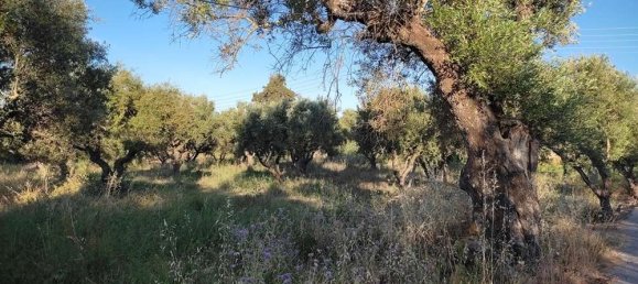 terreno en venta en Zakynthos, Ionian Islands, Peloponnese, Western Greece and the Ionian, Greece № 447 10
