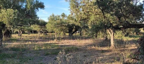 terreno en venta en Zakynthos, Ionian Islands, Peloponnese, Western Greece and the Ionian, Greece № 447 9