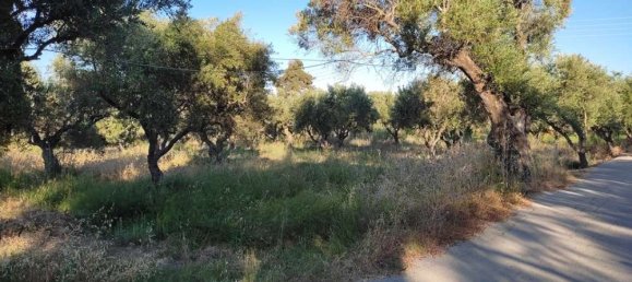terreno en venta en Zakynthos, Ionian Islands, Peloponnese, Western Greece and the Ionian, Greece № 447 2