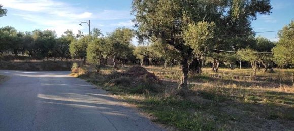 terreno en venta en Zakynthos, Ionian Islands, Peloponnese, Western Greece and the Ionian, Greece № 447 5