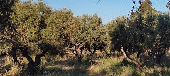 terreno en venta en Zakynthos, Ionian Islands, Peloponnese, Western Greece and the Ionian, Greece № 447 4