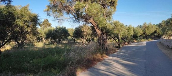 terreno en venta en Zakynthos, Ionian Islands, Peloponnese, Western Greece and the Ionian, Greece № 447 7