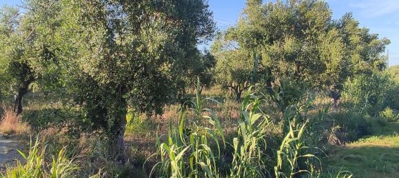 terreno en venta en Zakynthos, Ionian Islands, Peloponnese, Western Greece and the Ionian, Greece № 447 8