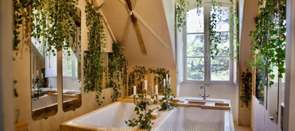 22 bedrooms Castles in Nogent-le-Rotrou, France No. 96896 12