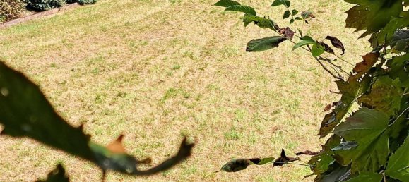 Terreno en Amstetten, Austria 567 m² No. 74940 4