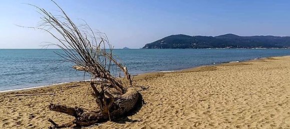 3-Zimmer Wohnung in Carrara, Italy, Nr. 43494 25