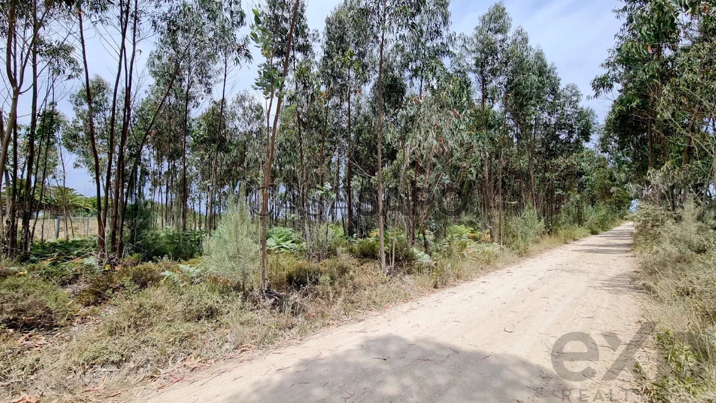 7055m² Land in Caldas da Rainha, Portugal No. 205375