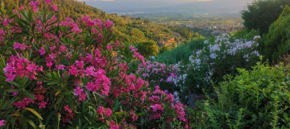 13 rooms House in Reggello, Italy No. 70430 25